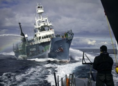 Image from 4 February 2011 released by the Sea Shepherd Conservation Society.