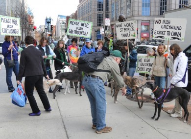 Members of the American-European Greyhound Alliance protest at the Irish consulate in Boston yesterday.