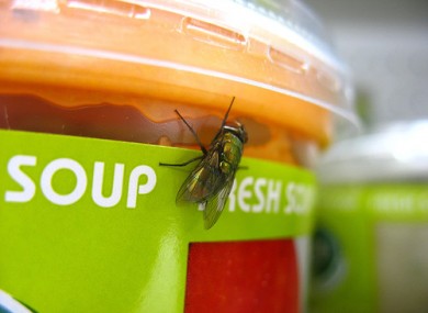 Waiter, waiter! There's a fly in my soup...