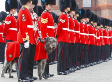 The Irish Guards wearing the uniform that Prince William will wear today.