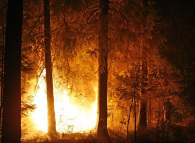 A forest fire edging close to the village of Kovrigino, near Moscow, Aug 13, 2010.