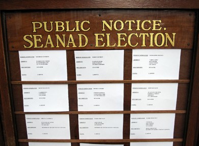 A public notice detailing candidates in April's Seanad Elections is shown at Leinster House.