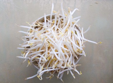 It appears as if bean sprouts like these are not the cause of the E. coli outbreak.