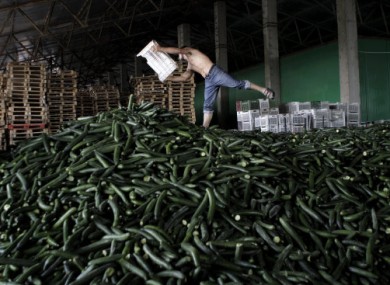 A man balances on a pile of cucumbers set aside for destruction at a warehouse in Bucharest, Romania.