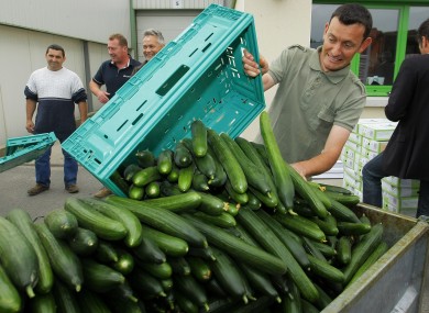 A French farm worker empties cucumbers into a container after failing to sell them due an ongoing food crisis in Europe.