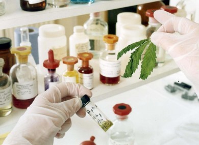 A lab analysis of cannabis samples of Sativex.