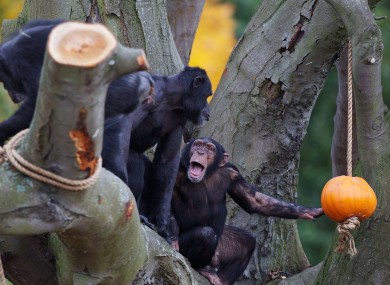 Someone's pretty excited about Halloween already...