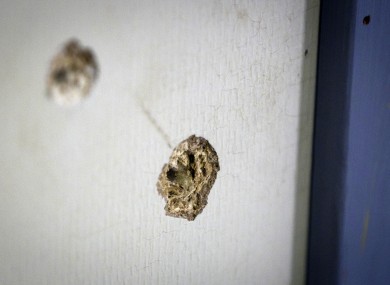Bullet holes in a cafe on Utoya where some of the victims were shot.