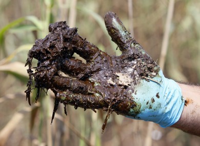 Garret Graves, director of the Louisiana Governor's Office of Coastal Activities, displays oil that he dug up on a glove in the Middle Ground wetlands near the South Pass of the Mississippi River on the coast of Lousiana