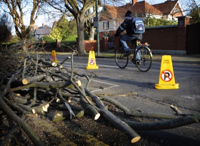 Downed trees await collection after storms in Dublin
