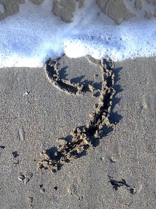 The beaches of Brittany wait for no man or digit. Do you have a 9 you'd like to share? Email pictures@thejournal.ie.