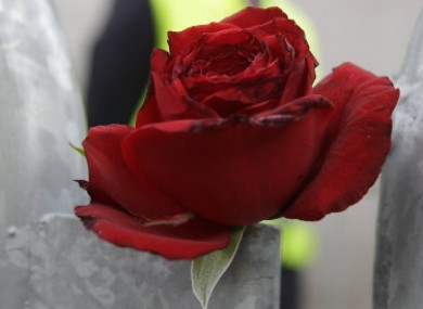 A flower left in tribute to the terror attack victims at the Oslo court.