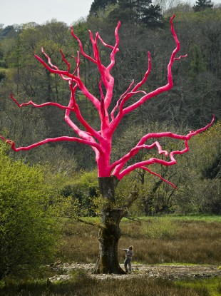 Artist Henry Bruce looks at his art project in the grounds of the Delamore Estate, Devon