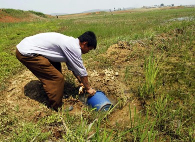 A North korean farmer gathers water as he tries to irrigate a field this week
