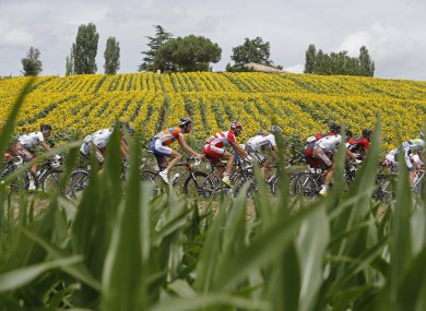 The pack roll on during today's stage.