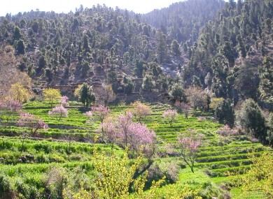 Kunar province in eastern Afghanistan near the border with Pakistan (File)