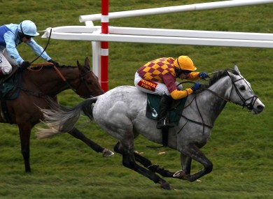 Dynaste, right, strikes for home in his win over Fingal Bay at Cheltenham earlier this month.