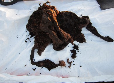 The bog body found in Co Meath.