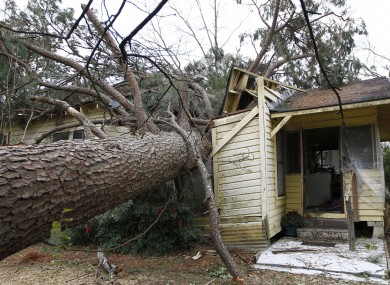 A tree blown over by a storm sits in the home of Martha Cavin in Centreville, Mississippi. Cavin had to be cut out from her home and was treated for a gash to her head.