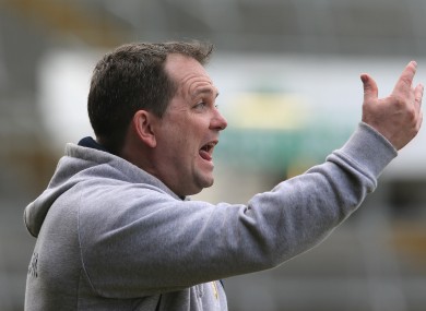 Clare manager Davy Fitzgerald during yesterday's relegation play-off.