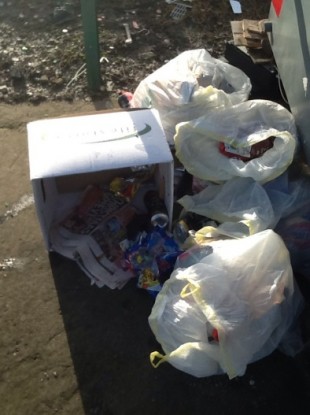 Image of illegal dumping in Dublin
