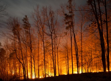 Forest fire.