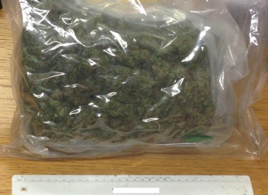 The cannabis seized by gardaí today.