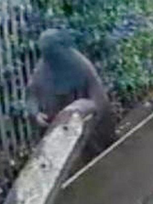 Undated handout CCTV image issued by the Metropolitan Police of terror suspect Mohammed Ahmed Mohamed.