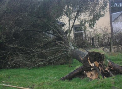 An example of the storm damage caused overnight