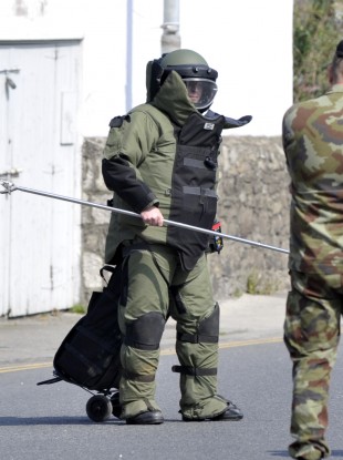 Members of the army bomb disposal team. (File)