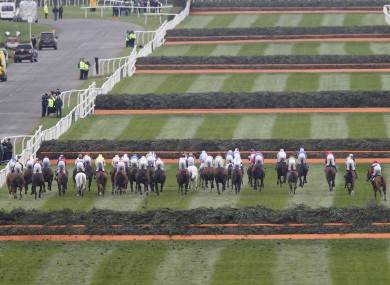 The Aintree Grand National field approach the early fences.