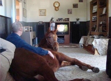 Could you pipe down? We're watching telly.