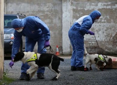 Police with victim recovery dogs in Hanover Street, Portadown.