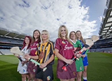 Limerick go in search of a famous double.