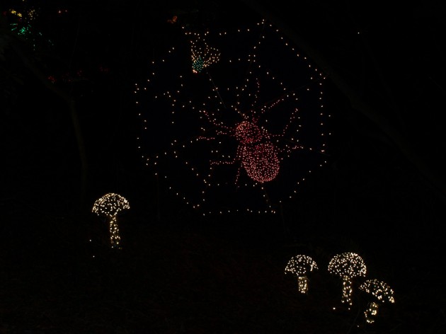 it s not all turkey and santa try some other christmas yule rite christmas lights