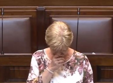 Anne Ferris during a previous Dáíl debate