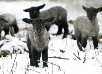 File photo of snow in Kildare.