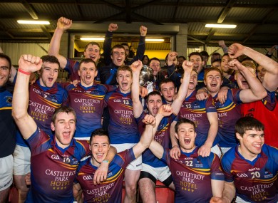 UL players celebrate after their Fitzgibbon Cup victory.