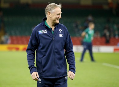 Ireland's Head coach Joe Schmidt says he is committed to the team for the long term.