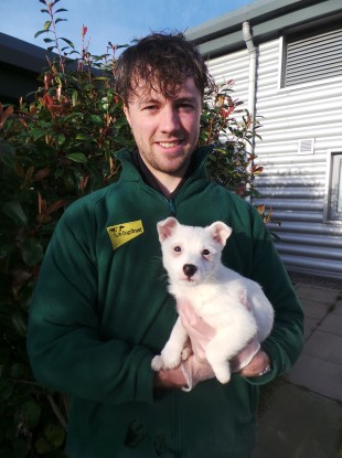 Moses with canine carer Paul Cleary