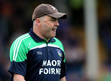 Limerick minor hurling coach Anthony Daly.