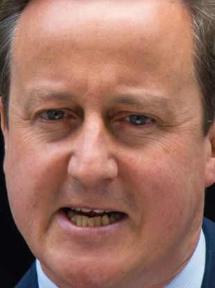 Prime Minister David Cameron