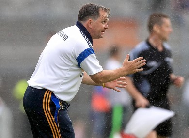 Clare hurling manager Davy Fitzgerald.