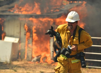Freelance photographer Noah Berger rescues a goat while on assignment for the San Francisco Chronicle.