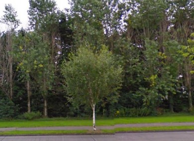 File photo of Langton Park