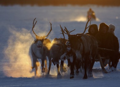 Nenets people ride in a reindeer sleigh during Reindeer Herder's Day in Nadym, Yamal-Nenets region in the Siberian north.