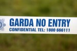 Man spotted running from stolen car arrested in connection with south Dublin robbery