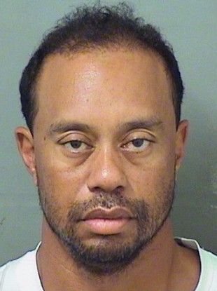 The mugshot of Woods, provided by the Palm Beach County Sheriff's Office.