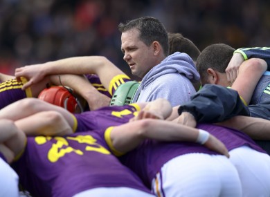 Wexford manager Davy Fitzgerald (file pic).