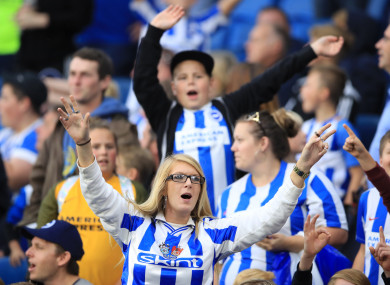 Supporters rejoice as Brighton defeat Newcastle 1-0 at the AMEX Stadium.